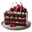 German Delicious Black Forest Cake Delicate, White Background, Illustrations Images