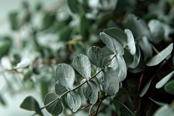 Poster - A close-up view of a bunch of vibrant green leaves. This versatile image can be used in various projects and designs