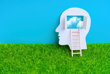 Paper Head With Open Window And Ladder On Grass And Sky Backdrop