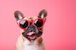 © Nataliia_Trushchenko - dog with sunglasses. Dog wearing cool glasses on colored background. Funny dog with glasses. yellow banner. Back to school. dog in glasses. Cool nerd style. Creative animal concept.