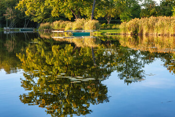 Wall Mural - Natural landscape of the lake, high definition, the movement of waves against the background of the autumn forest. The reflection of clouds on the ripples of water. Germany.