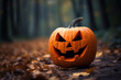 Cute halloween pumpkin with spooky and forest festive background. Trick or treat decoration concept, jack o lantern in the yard