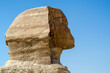head of an antique statue of the Sphinx in Giza Egypt
