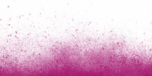 Dark Violet Splash Of Color Isolated On Transparent Light Background. Abstract Lilac Powder Explosion With Particles. Colorful Dust Cloud Explode, Paint Holi, Mist Splash Effect.