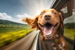 happy dog with head out of the car window having fun, realistic,