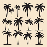 Fototapeta Dinusie - palm set black silhouette vector Clip art