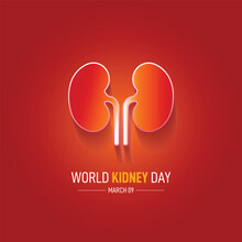 World Kidney Day. Kidney Vector Illustration On Red Background. Kidney Day Creative Concept. 