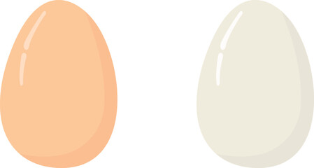 Vector illustration of brown and white eggs on transparent background.
