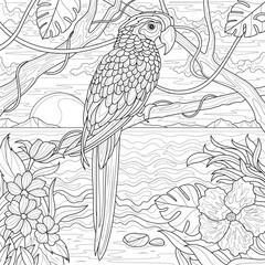 Wall Mural - Parrot and tropical landscape.Coloring book antistress for children and adults. 