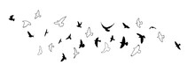 Flying Birds Silhouette Flock. Hand Drawing. Not AI, Vector Illustration