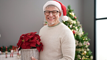 Wall Mural - Middle age grey-haired man holding plant standing by christmas tree at home