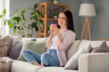 Wall Mural - Full size portrait of positive nice girl sit comfy sofa crossed barefoot legs hold fresh coffee mug pastime flat indoors