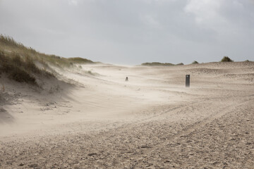 Poster - Sandy beach, with a winding road in the background disappearing into the dunes.