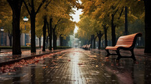 A Ground-level View Of An Urban Park Alley On A Rainy Day In Autumn, Illustrating The Peaceful Interplay Between City Life And Nature's Seasonal Shifts.