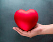 Red heart in woman's hand, Valentine's Day concept