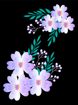 beautiful flower design with black background , beautiful flower design with gradient color,
