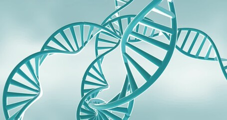 Poster - Animation of dna strands spinning with copy space over green background