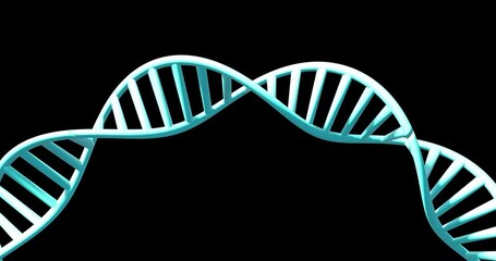 Poster - animation of dna strand spinning with copy space over black background