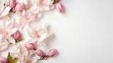 magnolia flowers branches on a background for copy space top view floral arrangement on a white background