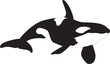 Vector iluustration of an orca whale
