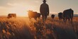 At Sunset, Man and Cattle Share a Peaceful Moment in a Farm Field, Embracing the Tranquil Beauty of Rural Life, Generative AI