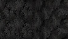 Beautiful Dark Black Line Boa Feather Pattern Texture Background