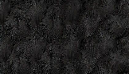 Wall Mural - beautiful dark black line boa feather pattern texture background