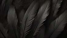 Beautiful Dark Black Feather Pattern Texture Background