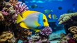 Yellow and light blue fish in aquarium