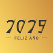 2025 - feliz año nuevo