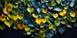 Varied heart-shaped leaves in a spectrum of aquatic tones