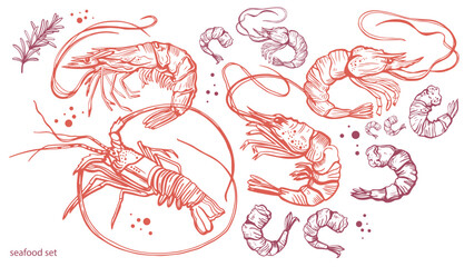 Wall Mural - Hand drawn isolated vector pattern of shrimps. Shrimps and langoustines on a white background. Prawns. Seafood, food vintage illustration.