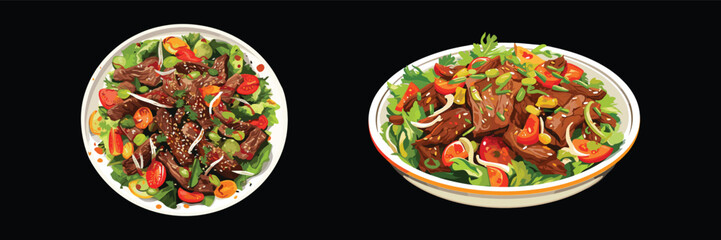 Set of Asian spicy beef salad, menu, vector illustration isolated on black background