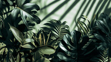 A Monochromatic Image Of Tropical Leaves In Various Shades Of Green With Soft Shadows On A Matching Background Flat Lay Top View