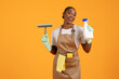 © Prostock-studio - black woman holds brush for window cleaning and detergent, studio