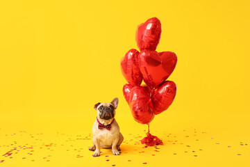 Wall Mural - Cute French bulldog with heart shaped balloons and confetti on yellow background. Valentine's Day celebration