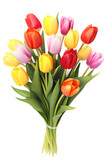 Fototapeta Tulipany - colorful bouquet of tulips on neat white background