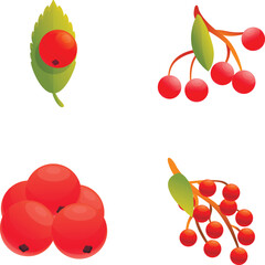 Poster - Viburnum icons set cartoon vector. Red ripe viburnum bunch. Nature, environment