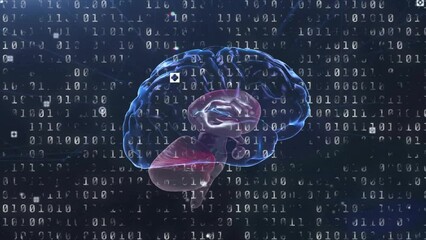 Animation of binary coding data processing over human brain on dark background