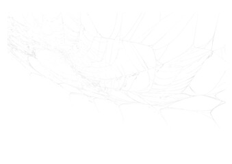 spider web v8 alpha