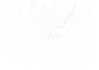 Wall Mural - spider web v6 alpha