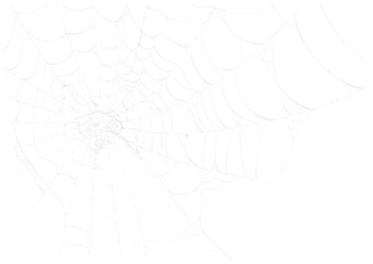 spider web v5 alpha