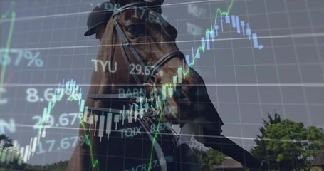 Poster - Animation of financial data processing over caucasian woman getting on horse