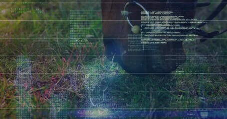 Poster - Animation of financial data processing over horse eating grass