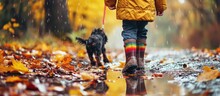 Rainbow Kids Shoes Children And Dog Play Outdoor In Sunny Autumn Park Hiking Footwear For Fall Walk Fun Active Child Clothing And Warm Boots Rain Weather Wear Boy And Girl Fashion