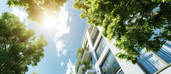 Poster - Tall white building with blue sky and green tree leaves during the day. with copy space image. Place for adding text or design