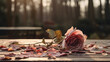 Withered pink flower with its petals falling on a wooden table in the garden - copyspace