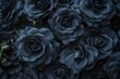 © kawin302 - black rose background