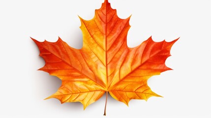 Sticker - Colorful maple leaf in autumn isolated on white background. Fall season foliage texture. isolated on white background,. Created using Generative AI Technology