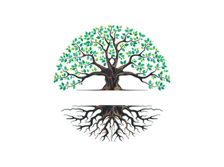 Sticker - circular tree logo template, elegant tree and roots vector illustrations.